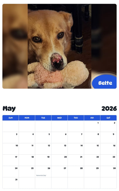 2026 - 2027 Belte - Pawidols Pet Calendar