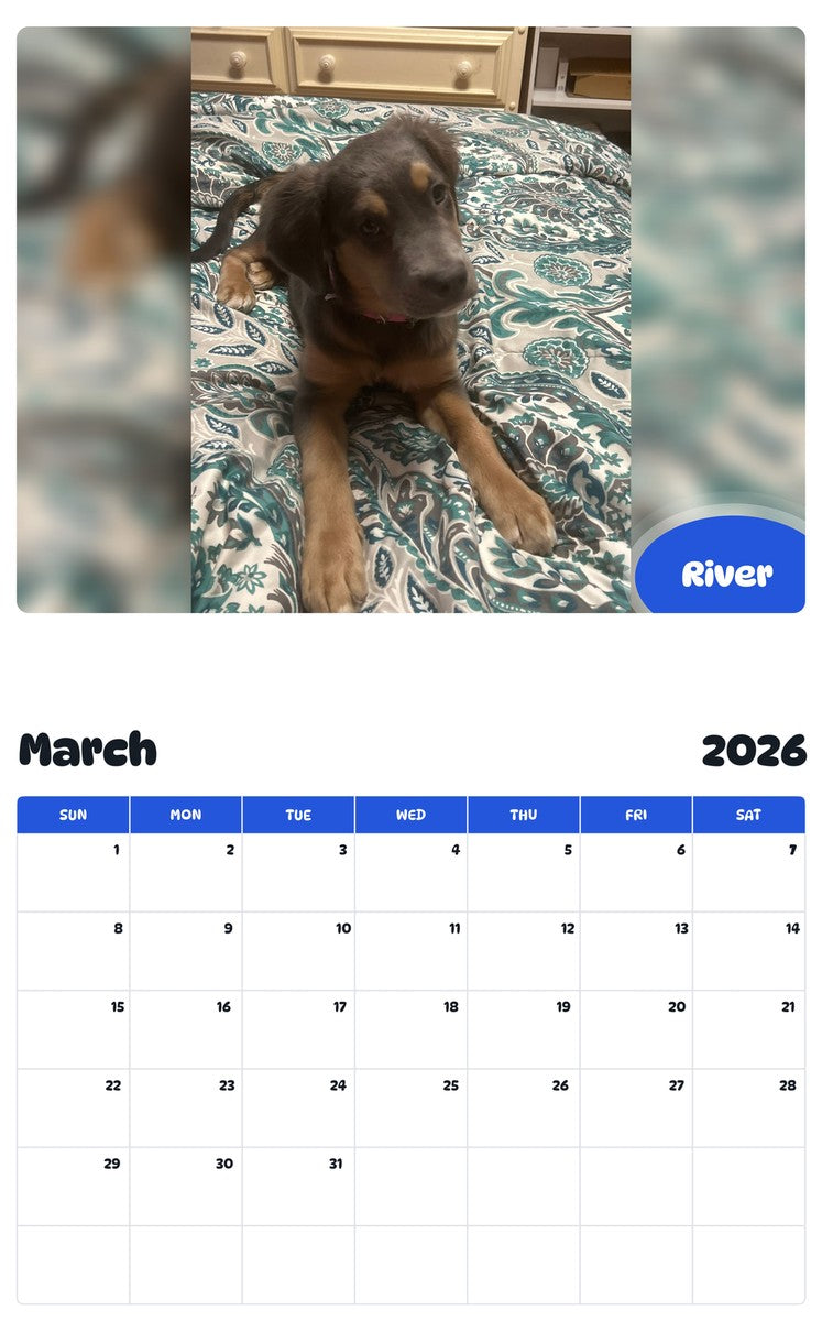 November 2025 - October 2026 River - Pawidols Pet Calendar
