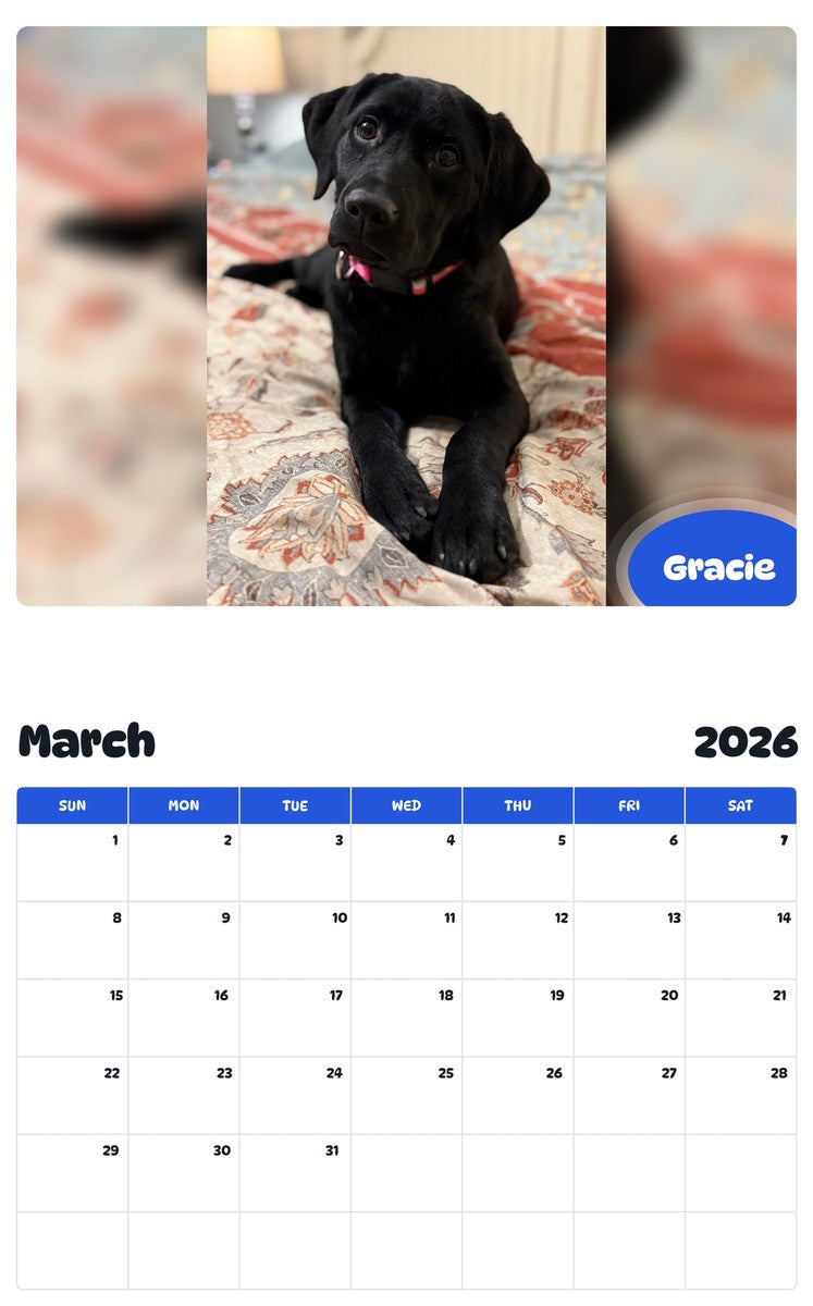 November 2025 - October 2026 Gracie - Pawidols Pet Calendar
