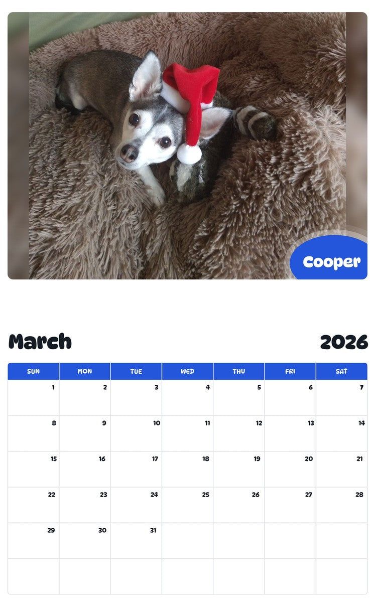 November 2025 - October 2026 Cooper - Pawidols Pet Calendar