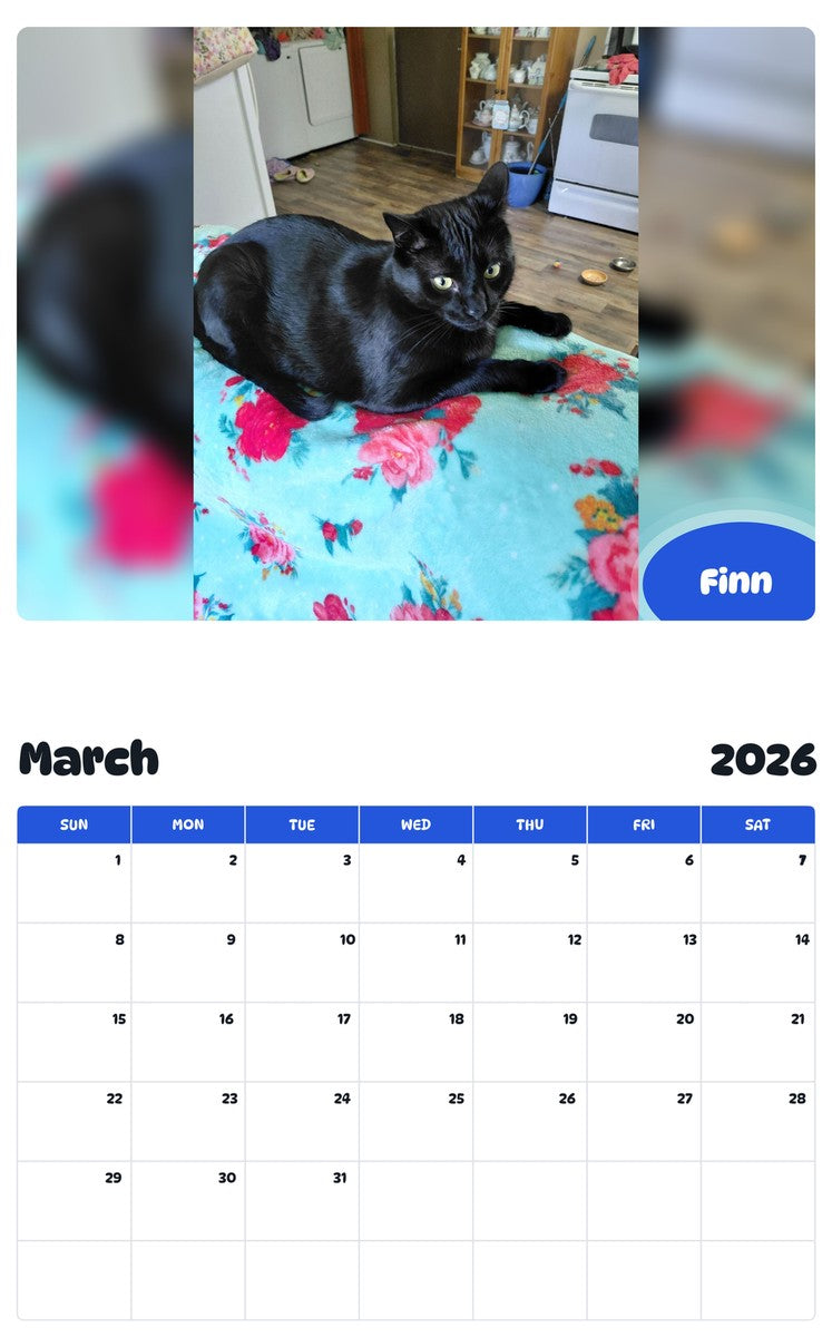 November 2025 - October 2026 Finn - Pawidols Pet Calendar