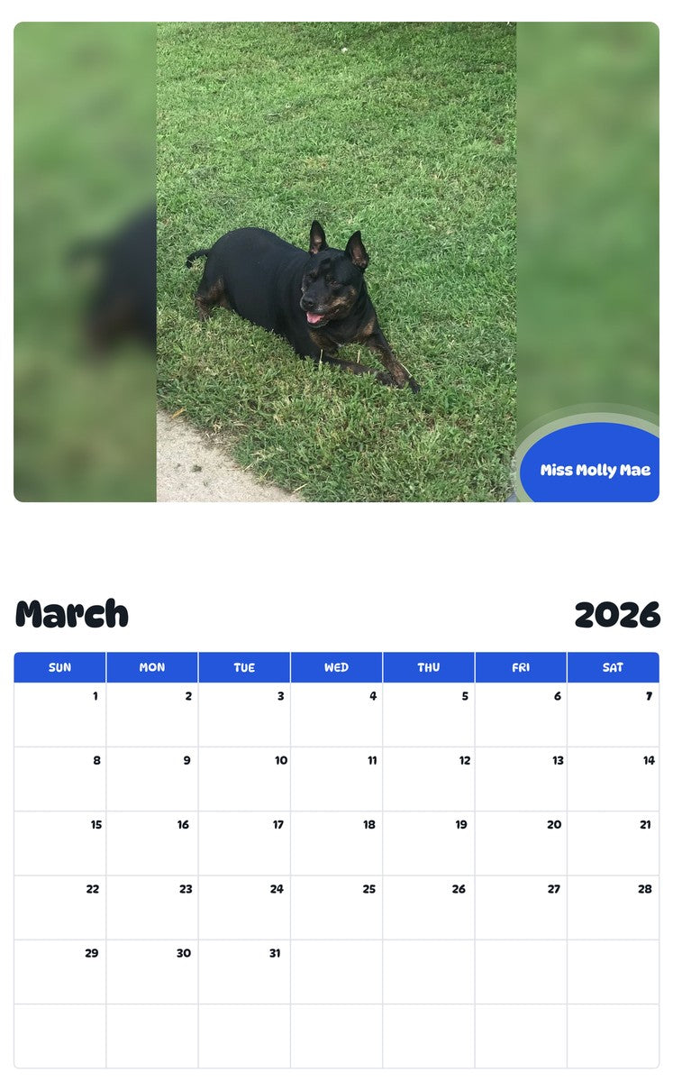 November 2025 - October 2026 Miss Molly Mae - Pawidols Pet Calendar