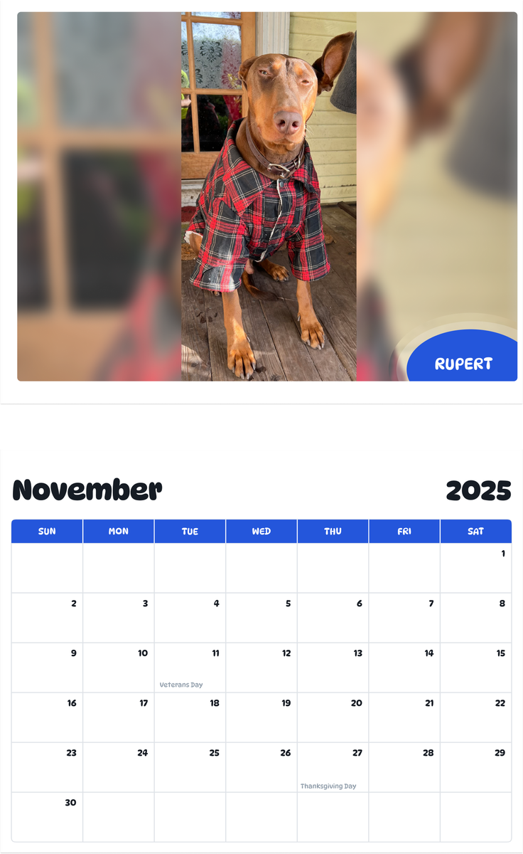 July 2025 - June 2026 Rupert - Pawidols Pet Calendar