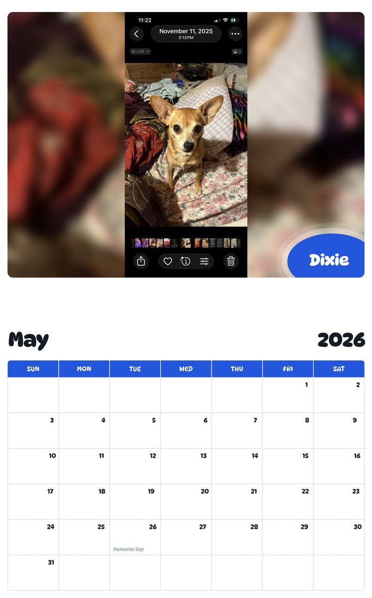 2026 - 2027 Dixie - Pawidols Pet Calendar
