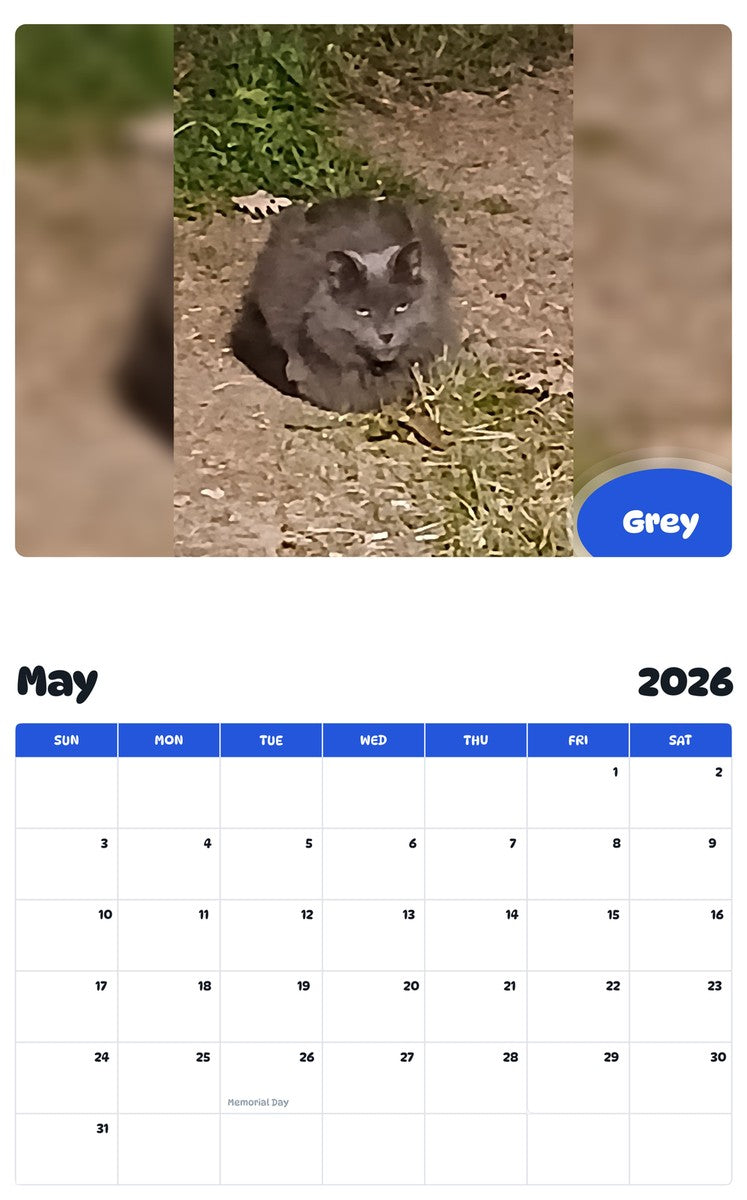 2026 - 2027 Grey - Pawidols Pet Calendar