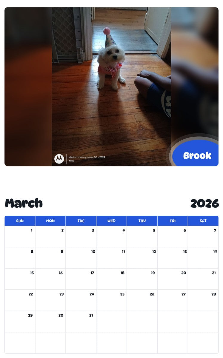 November 2025 - October 2026 Brook - Pawidols Pet Calendar