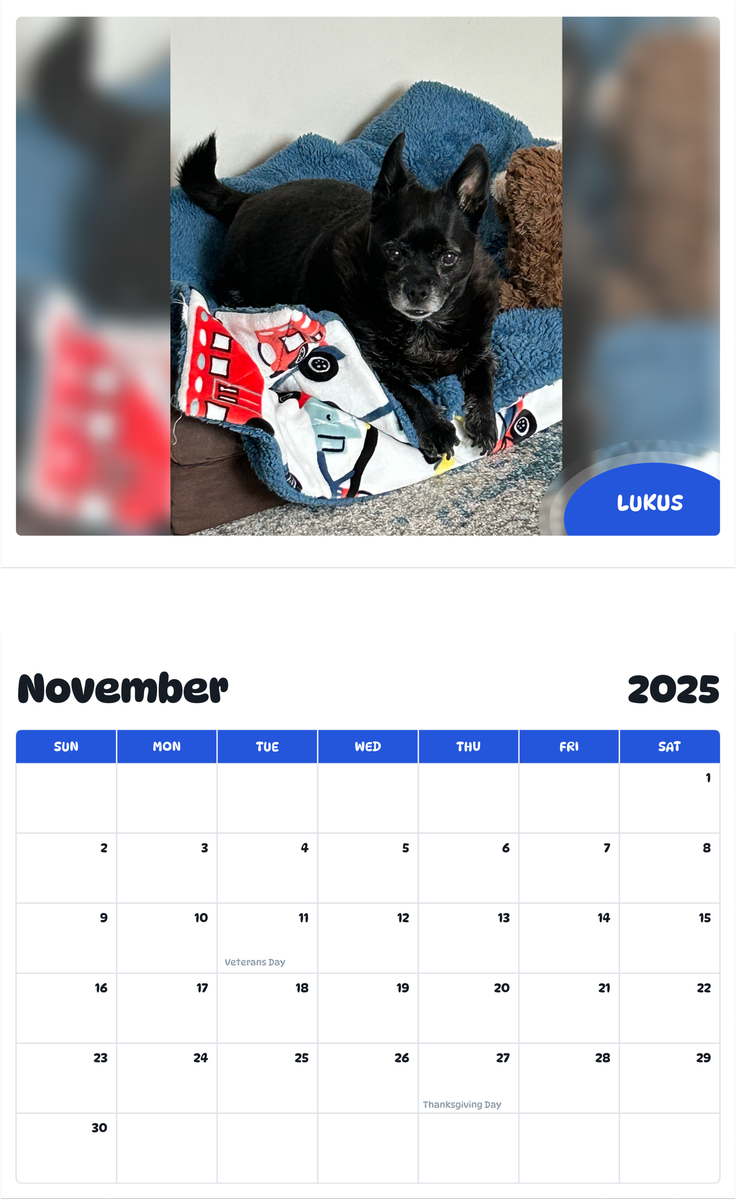 July 2025 - June 2026 Lukus - Pawidols Pet Calendar