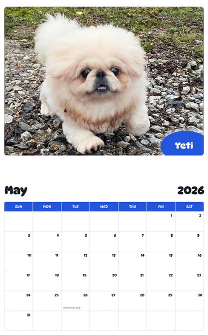 2026 - 2027 Yeti - Pawidols Pet Calendar