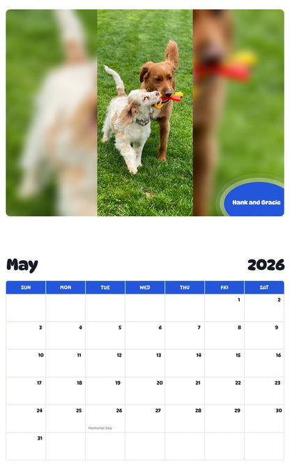 2026 - 2027 Hank and Gracie - Pawidols Pet Calendar