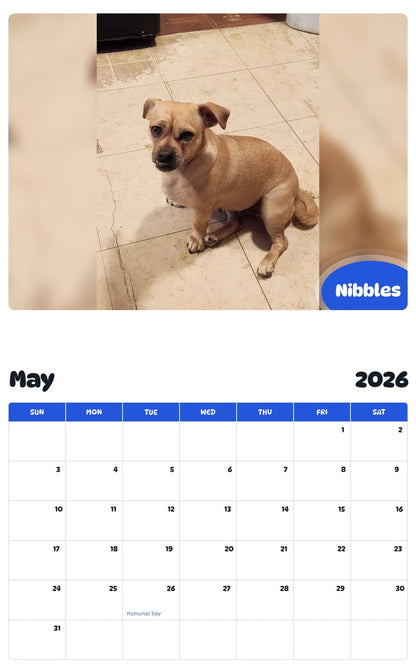 2026 - 2027 Nibbles - Pawidols Pet Calendar