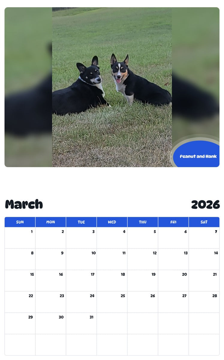 November 2025 - October 2026 Peanut and Hank - Pawidols Pet Calendar