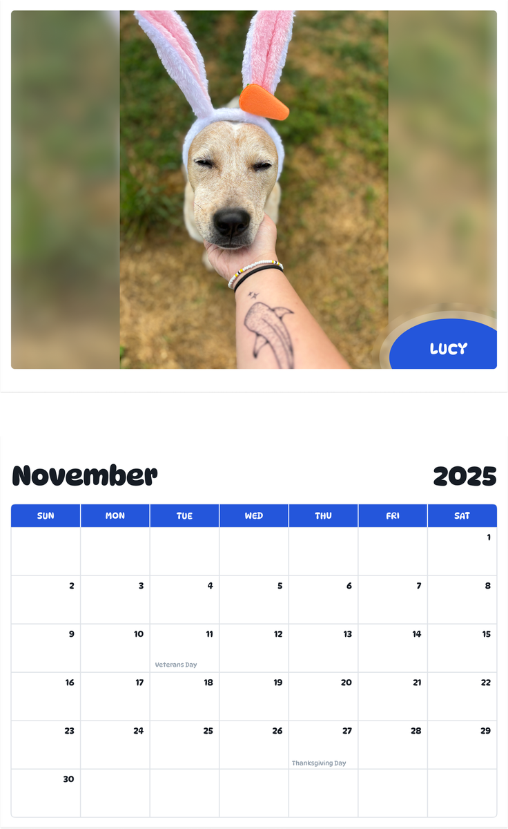 July 2025 - June 2026 Lucy - Pawidols Pet Calendar