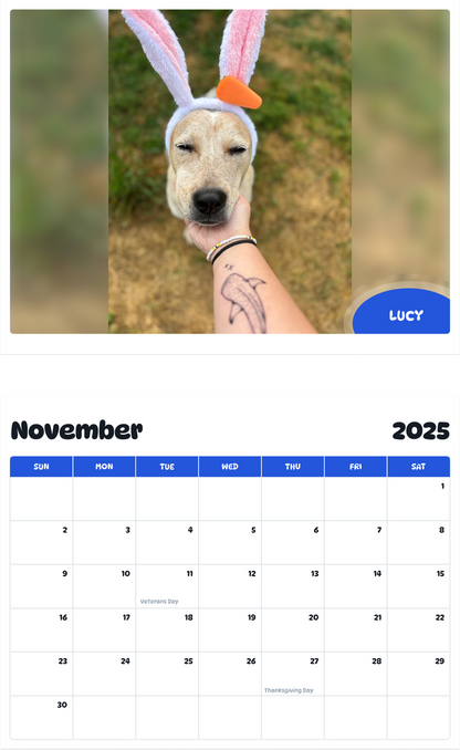 July 2025 - June 2026 Lucy - Pawidols Pet Calendar