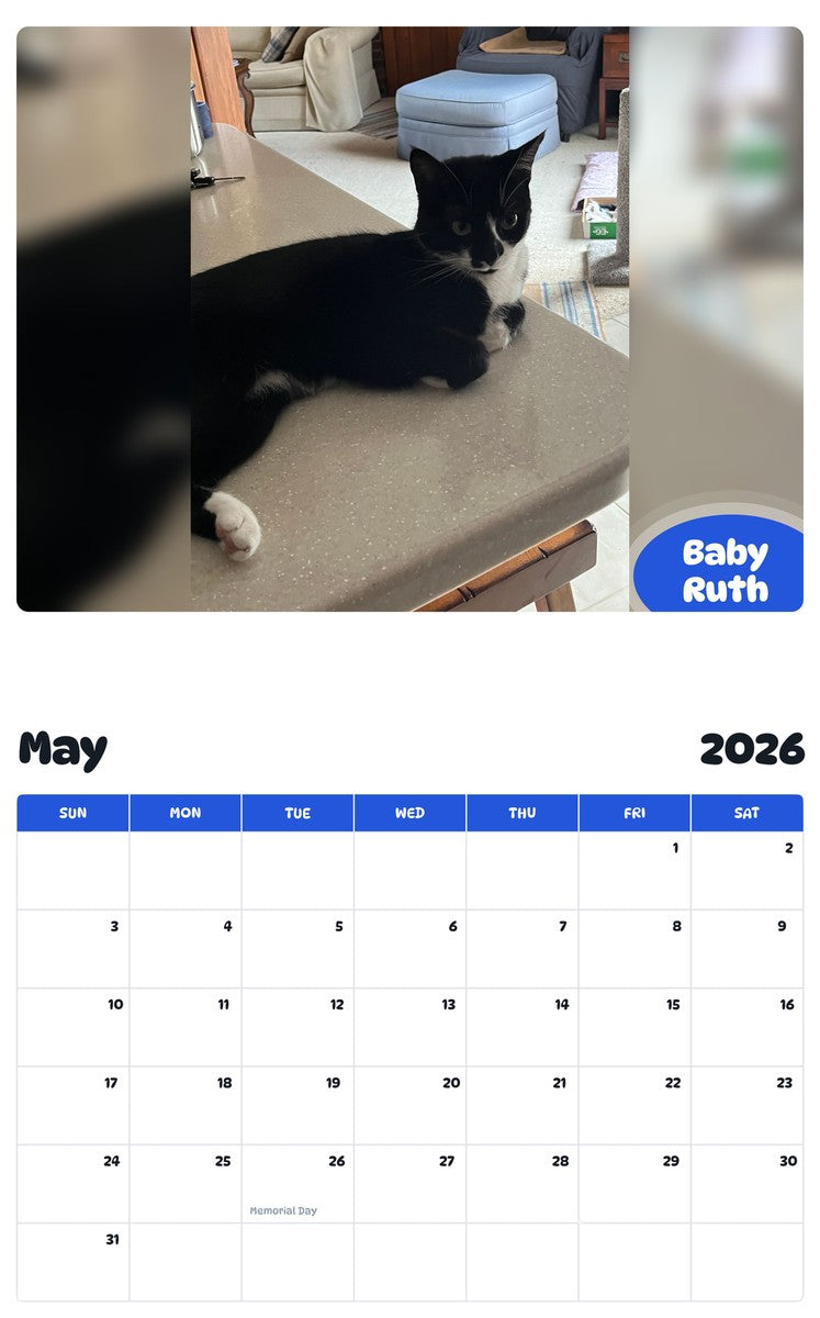 2026 - 2027 Baby Ruth - Pawidols Pet Calendar