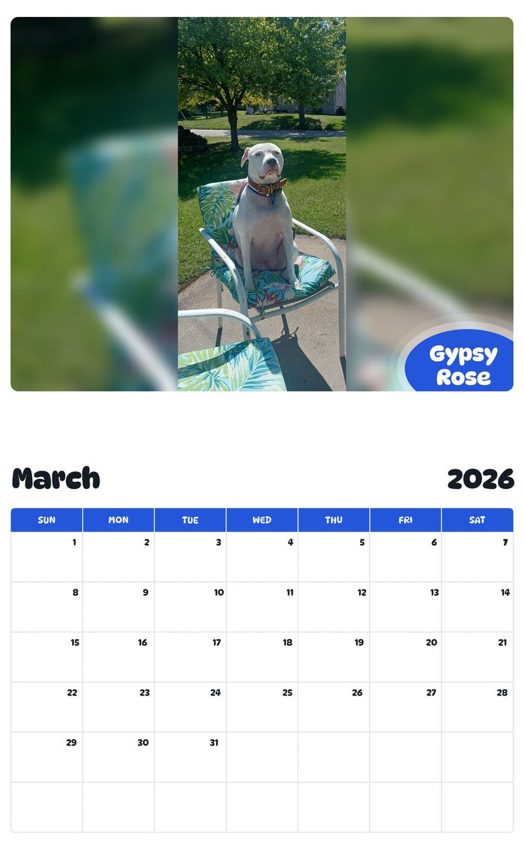November 2025 - October 2026 Gypsy Rose - Pawidols Pet Calendar