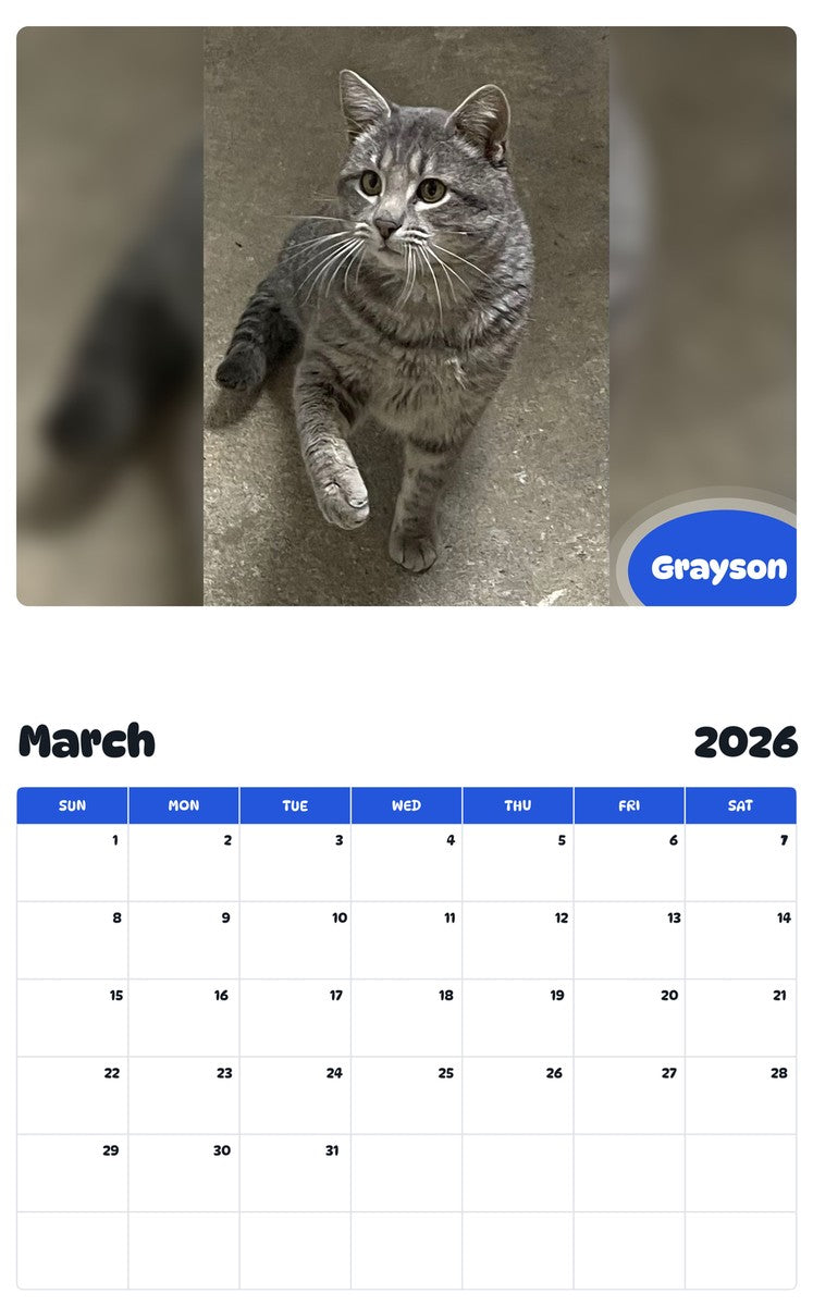 November 2025 - October 2026 Grayson - Pawidols Pet Calendar