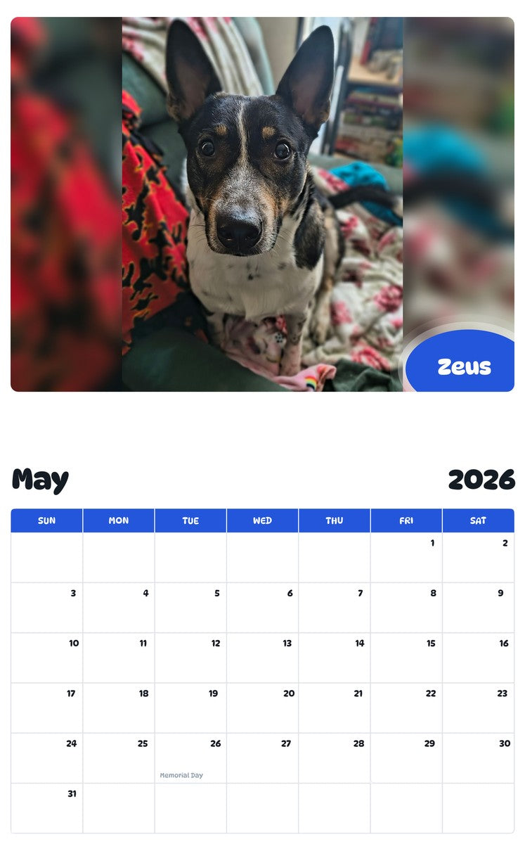 2026 - 2027 Zeus - Pawidols Pet Calendar