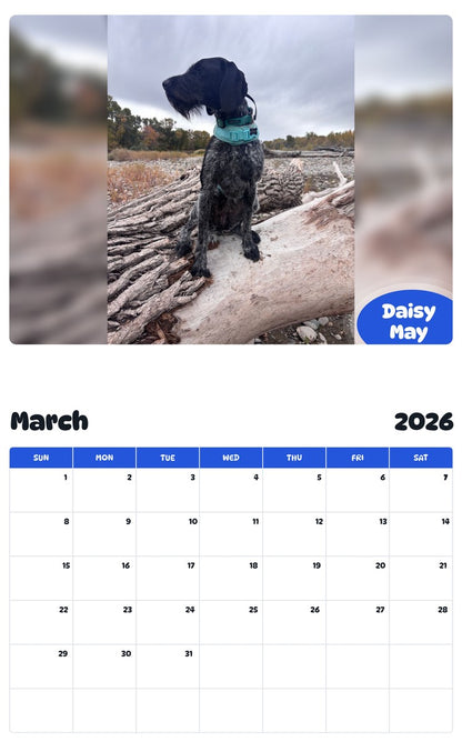 November 2025 - October 2026 Daisy May - Pawidols Pet Calendar