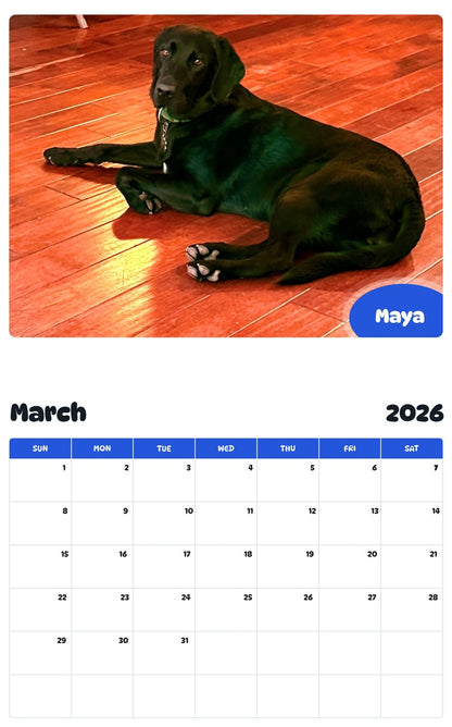 November 2025 - October 2026 Maya - Pawidols Pet Calendar
