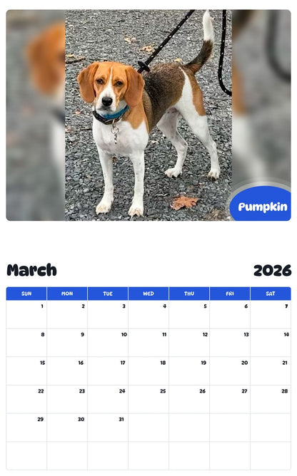 November 2025 - October 2026 Pumpkin - Pawidols Pet Calendar