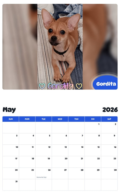 2026 - 2027 Gordita - Pawidols Pet Calendar