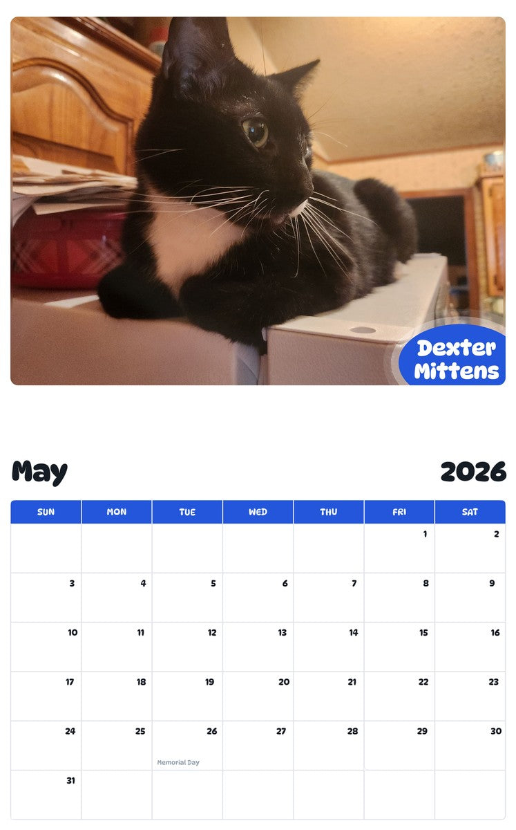 2026 - 2027 Dexter Mittens - Pawidols Pet Calendar