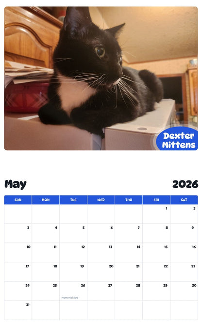 2026 - 2027 Dexter Mittens - Pawidols Pet Calendar