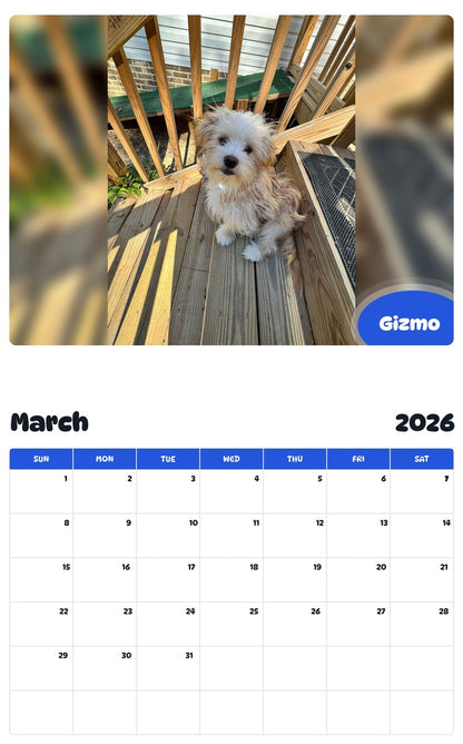 November 2025 - October 2026 Gizmo - Pawidols Pet Calendar