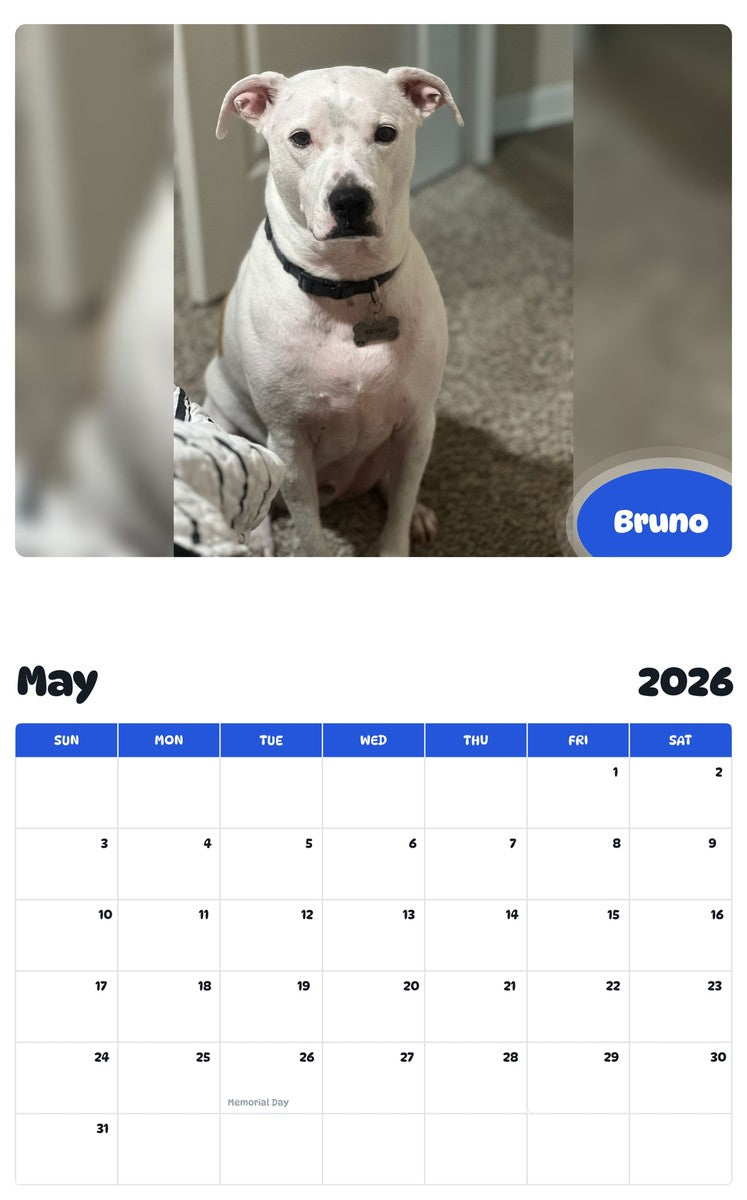 2026 - 2027 Bruno - Pawidols Pet Calendar