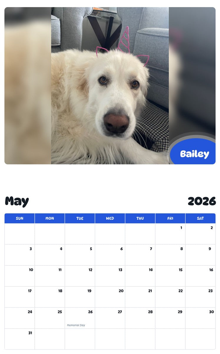 2026 - 2027 Bailey - Pawidols Pet Calendar