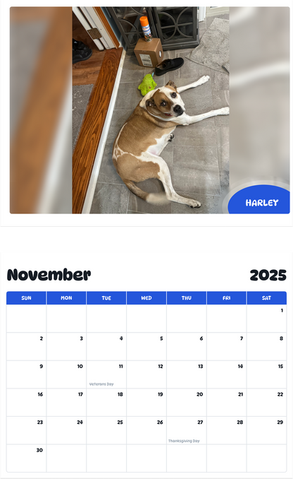July 2025 - June 2026 Harley - Pawidols Pet Calendar