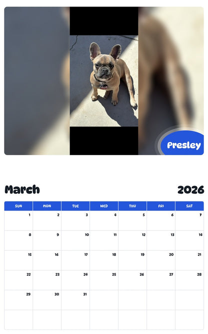 November 2025 - October 2026 Presley - Pawidols Pet Calendar