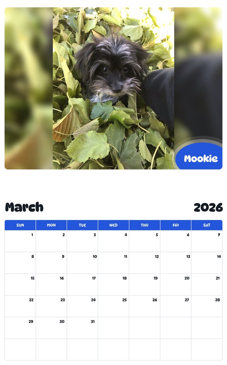 November 2025 - October 2026 Mookie - Pawidols Pet Calendar