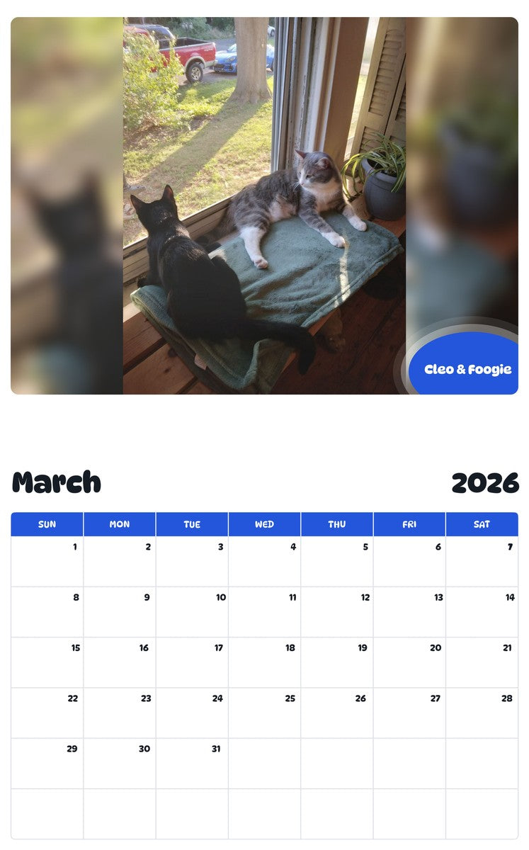 November 2025 - October 2026 Cleo & Foogie - Pawidols Pet Calendar