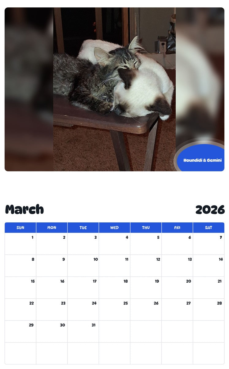 November 2025 - October 2026 Houndidi & Gemini - Pawidols Pet Calendar