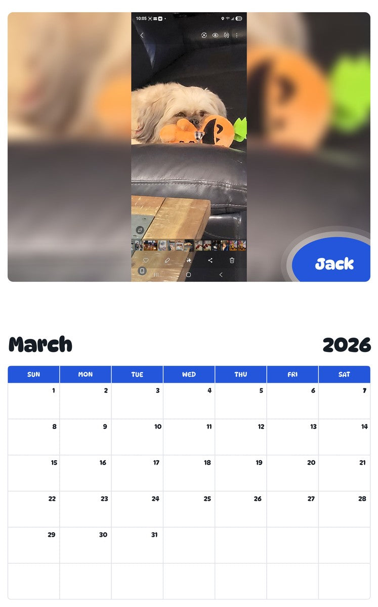 November 2025 - October 2026 Jack - Pawidols Pet Calendar