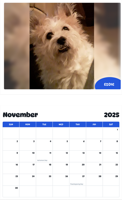 July 2025 - June 2026 Eddie - Pawidols Pet Calendar
