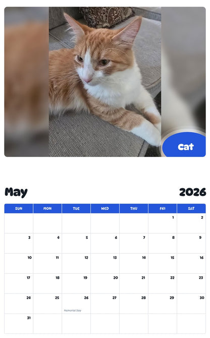 2026 - 2027 Cat - Pawidols Pet Calendar