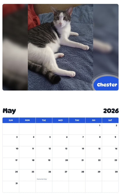 2026 - 2027 Chester - Pawidols Pet Calendar