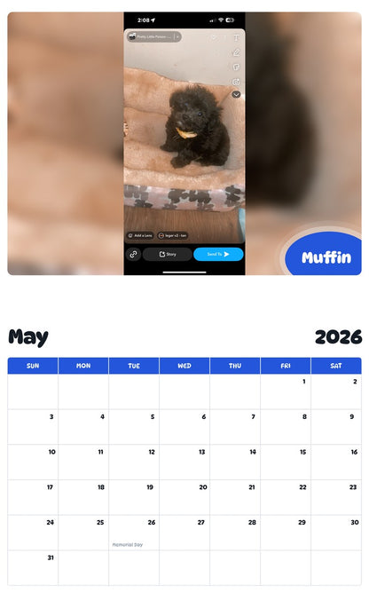 2026 - 2027 Muffin - Pawidols Pet Calendar