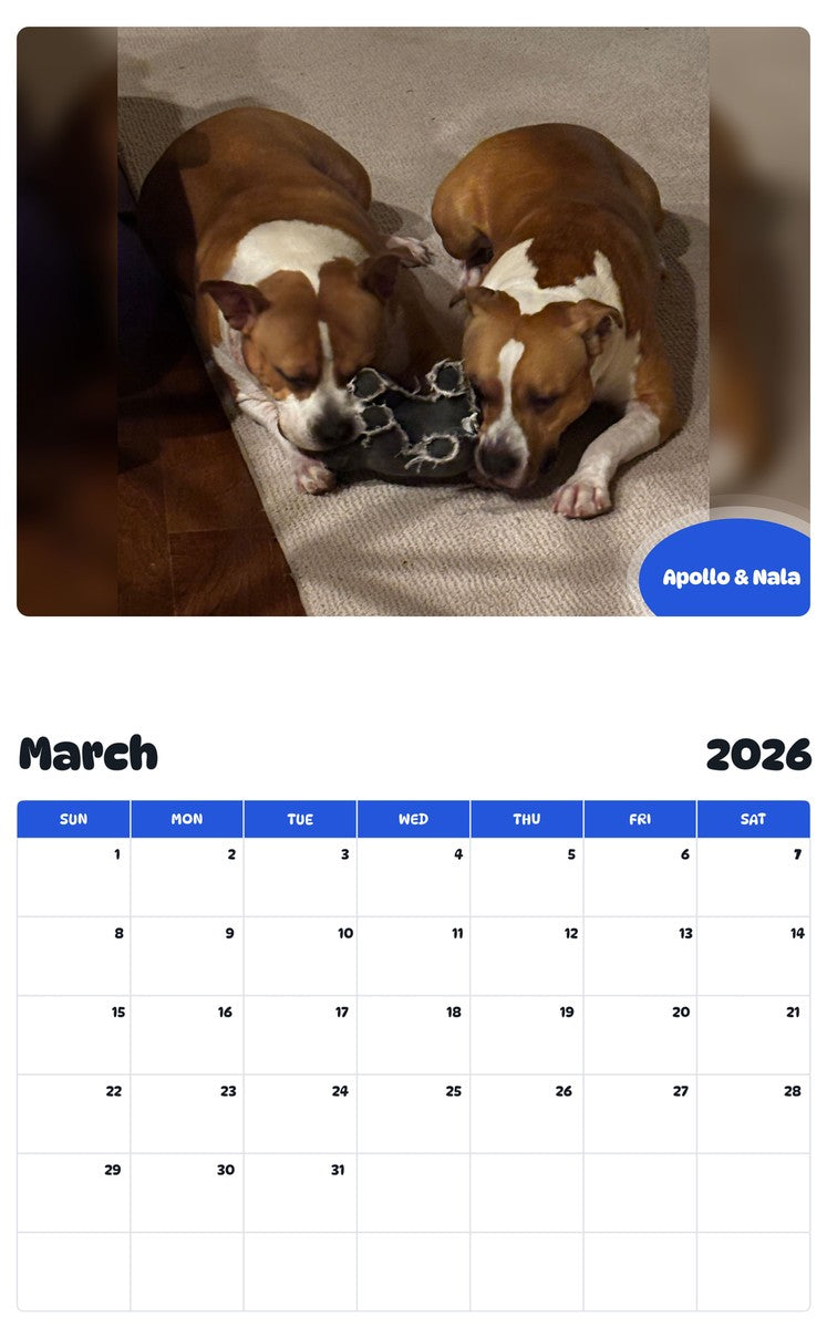 November 2025 - October 2026 Apollo & Nala - Pawidols Pet Calendar