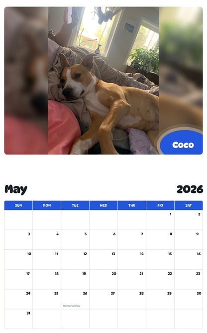 2026 - 2027 Coco - Pawidols Pet Calendar