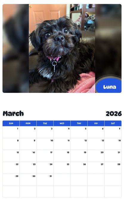 November 2025 - October 2026 Luna - Pawidols Pet Calendar