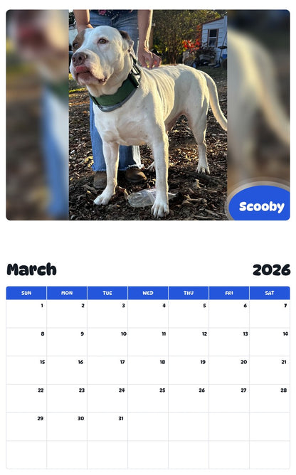 November 2025 - October 2026 Scooby - Pawidols Pet Calendar