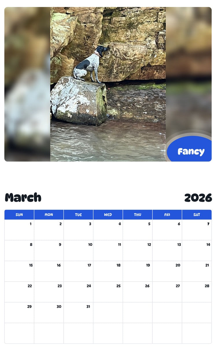 November 2025 - October 2026 Fancy - Pawidols Pet Calendar