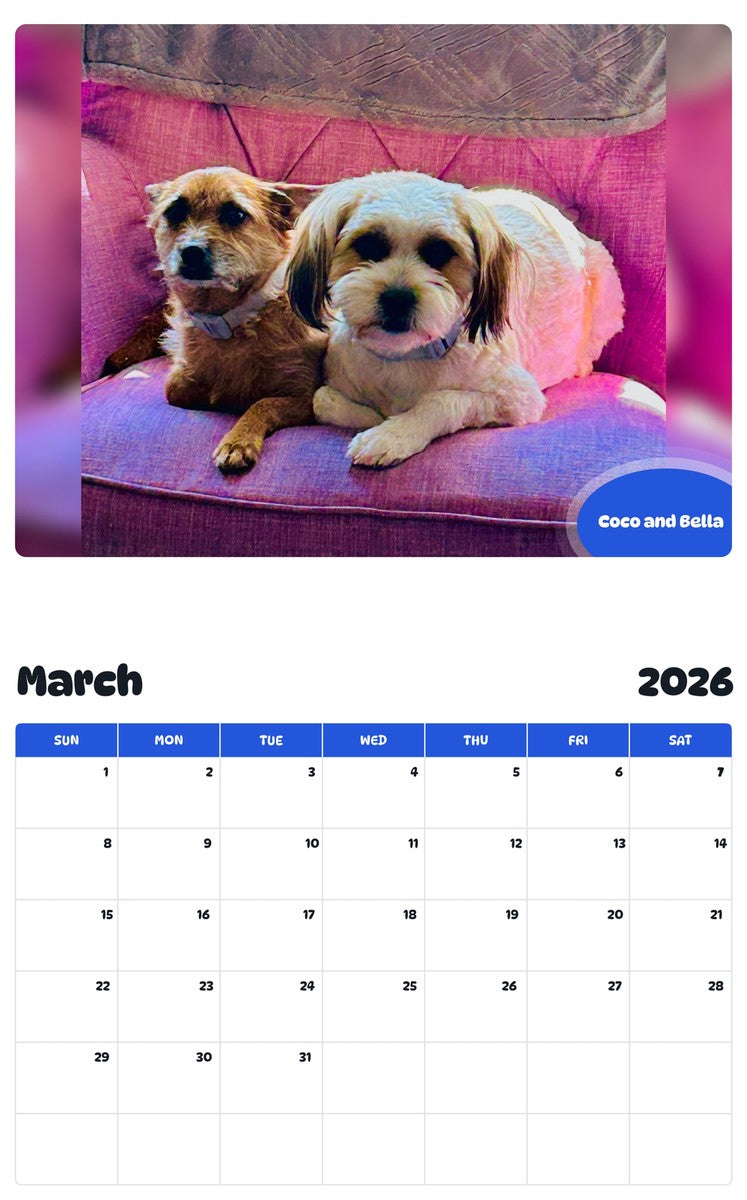 November 2025 - October 2026 Coco and Bella - Pawidols Pet Calendar