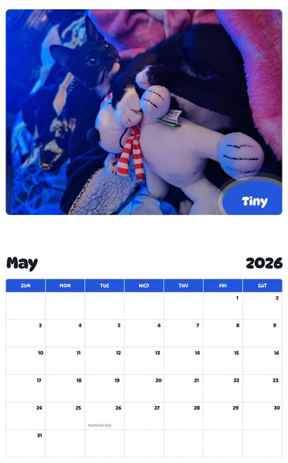 2026 - 2027 Tiny - Pawidols Pet Calendar
