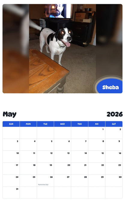 2026 - 2027 Sheba - Pawidols Pet Calendar