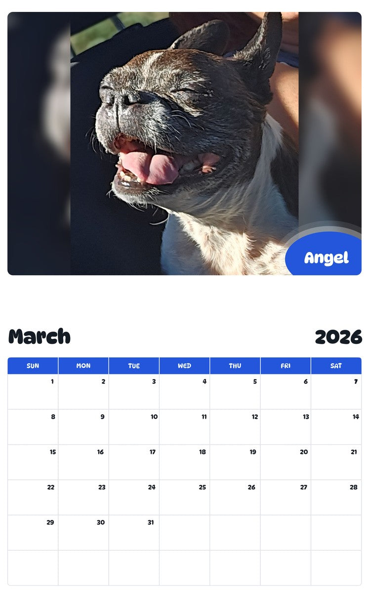 November 2025 - October 2026 Angel - Pawidols Pet Calendar