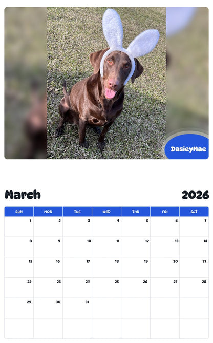 November 2025 - October 2026 DasieyMae - Pawidols Pet Calendar
